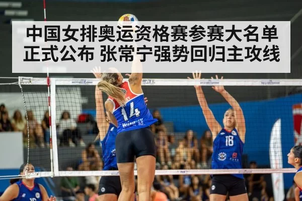 volleyball spike action